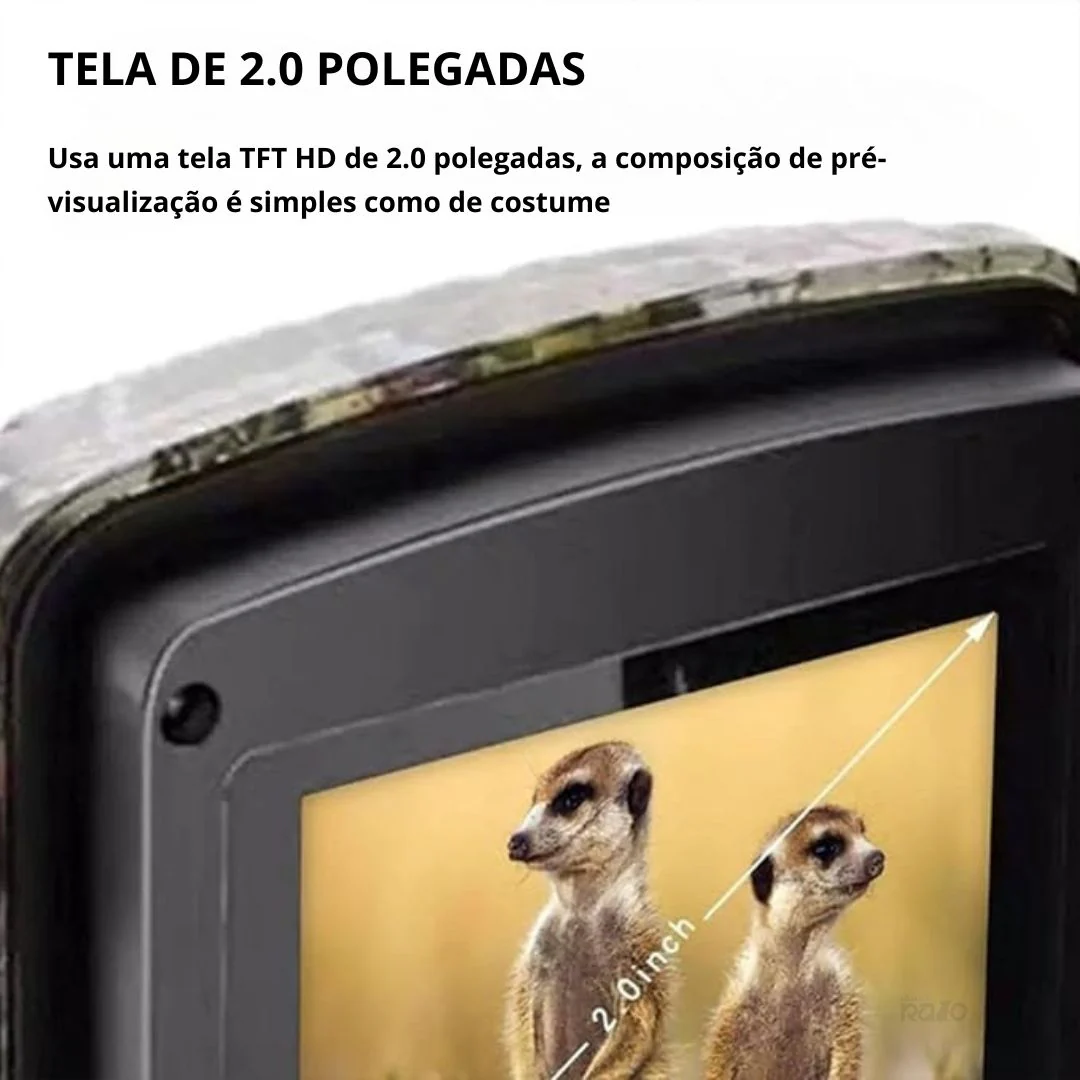 Imagem do produto 5